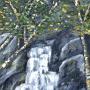 Kalledonia Falls - Capturing the drama <br />               2007 - Oil on canvas 20 x 30 cm